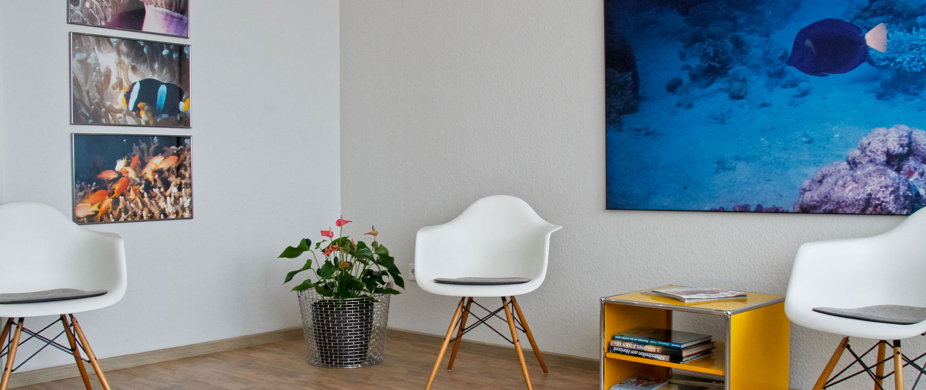 Wartezimmer · Gemeinschaftspraxis für Zahn-, Mund- und Kieferheilkunde Dr. Gorden & Dr. Poll